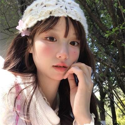 花盆封面